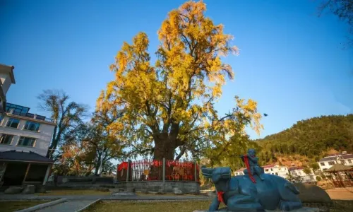 Lion Peak Scenic Area