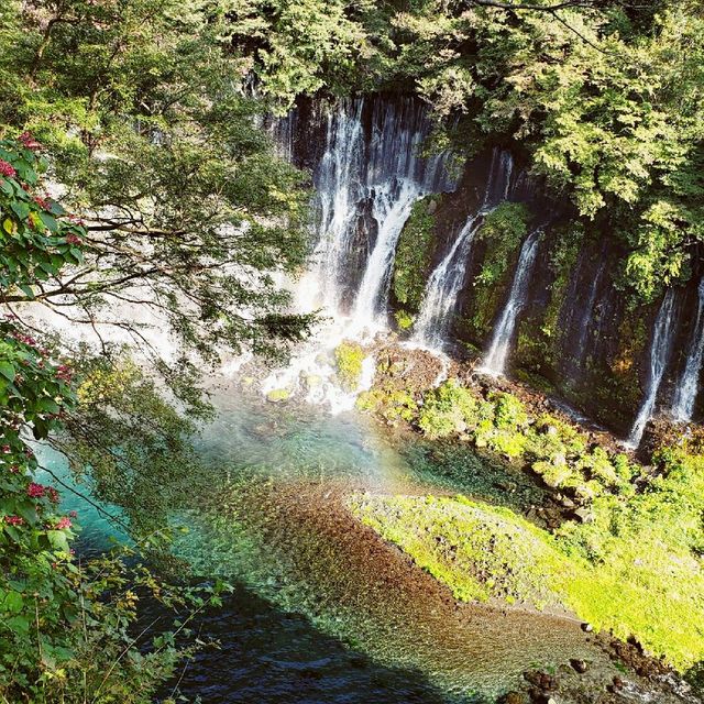 【富士宮】白糸の滝