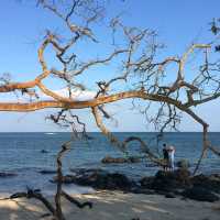 Bama Beach