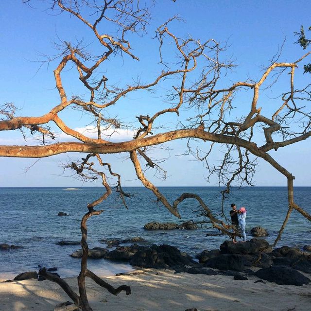 Bama Beach