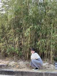 불국사, 경주