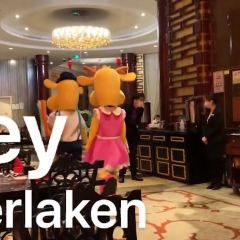 深圳东部华侨城茵特拉根酒店·湖逸轩中餐厅 User Photo