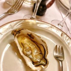 Terminus Nord張用戶圖片