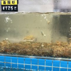 Shenhai Fishing Port User Photo