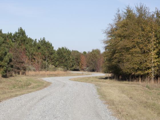 済南百里黄河風景区