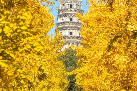 Tiger Hill(Huqiu) Scenic Area