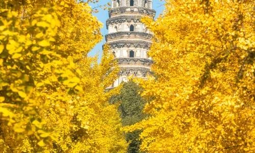 Tiger Hill(Huqiu) Scenic Area