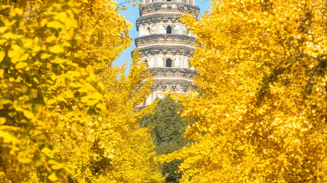 5_虎丘山風景名勝區