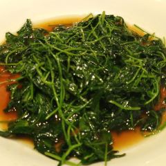 江南名灶張用戶圖片