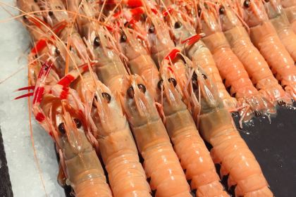 加餐海鲜自助(世欧广场店)