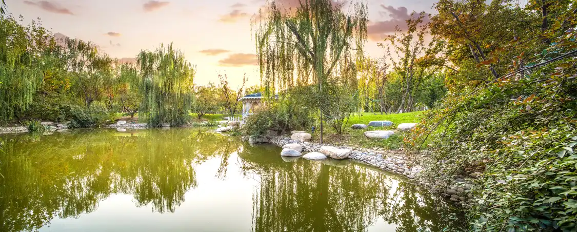 Hotels near Daming Lake