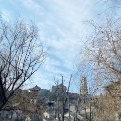 YAN HE CAN TING 여행 사진