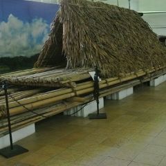 ビティ レブ島 フィジーズ エクルーサイブ ミュージアム 評判 案内 トリップドットコム