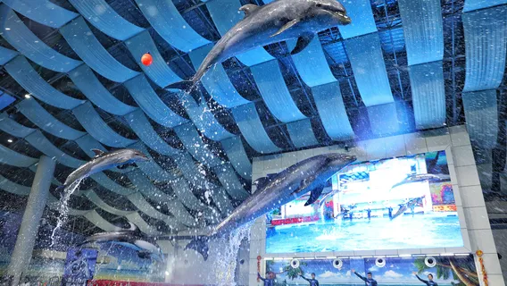 Hefei Aquarium