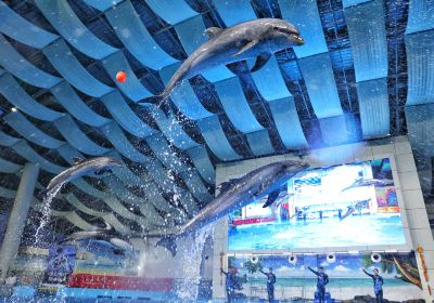 Hefei Ocean World