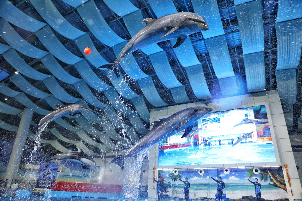 2_Hefei Andover Oceanarium