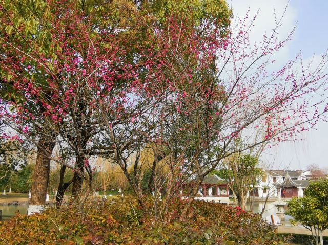 우꾸쟝주팅공원
