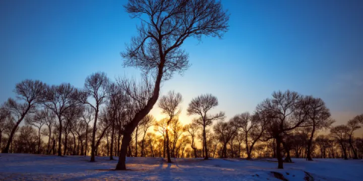 桑乾河濱河公園
