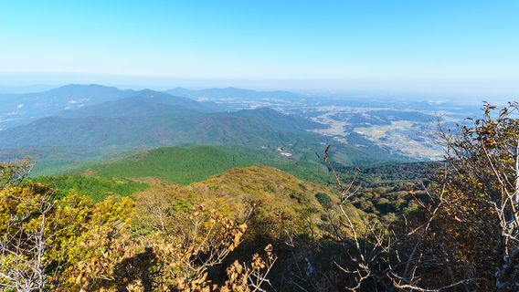 Jingjing