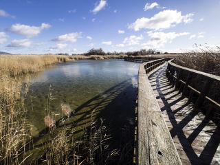 Hotels in der Nähe Adelindis Therme