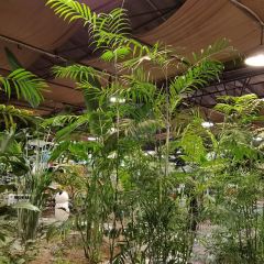 欧景生态苑(石家庄机场店) User Photo