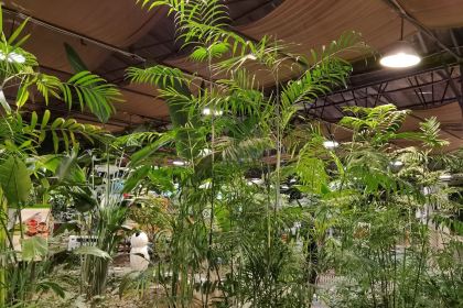 欧景生态苑(石家庄机场店)