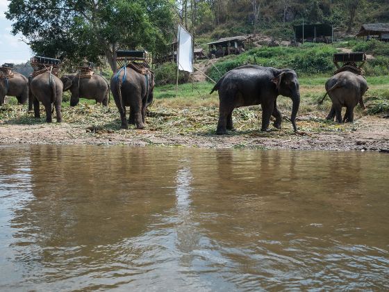 Minneriya National Park