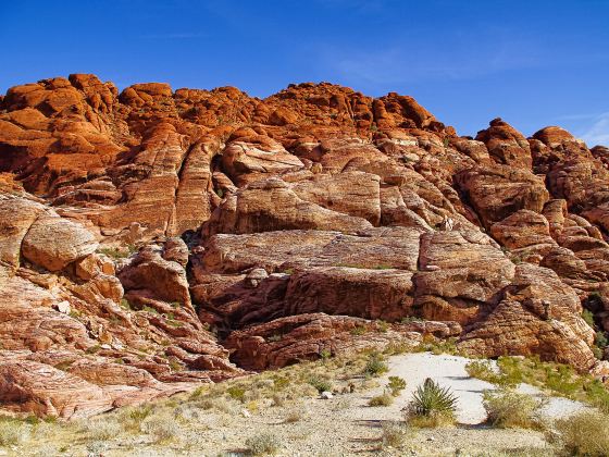 Red Rock Canyon National Conservation Area