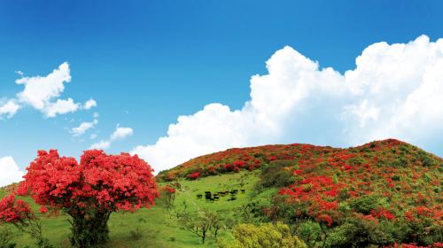 Baguanao Scenic Area