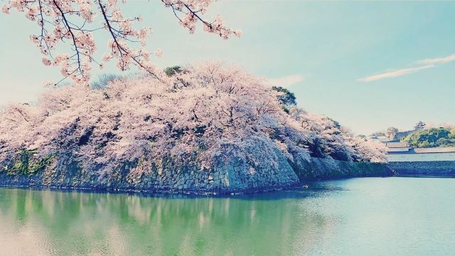 오사카 성