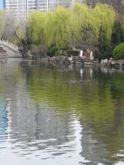 荊河公園