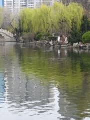 Jinghe Park
