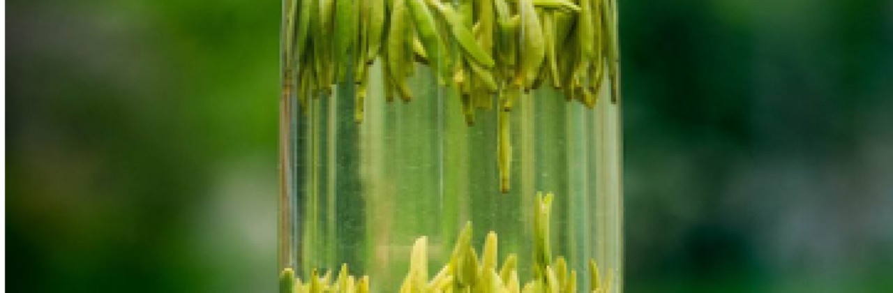 潤銘國際酒店餐廳