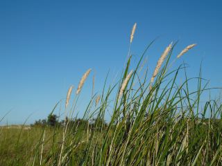 Hotels in der Nähe Badehaus Norderney