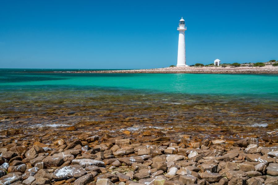 Frankfurt to Whyalla Flights