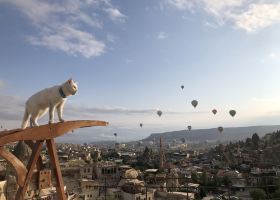 Mersin to Kansas City Flights