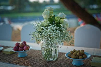 婺源厚塘庄园·厚塘·茶食山房