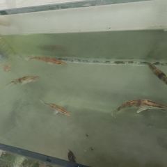 渔水之乡 User Photo