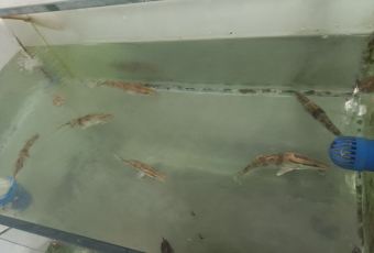 渔水之乡 User Photo