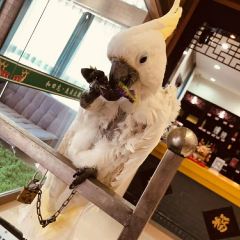 灶腳小館 User Photo