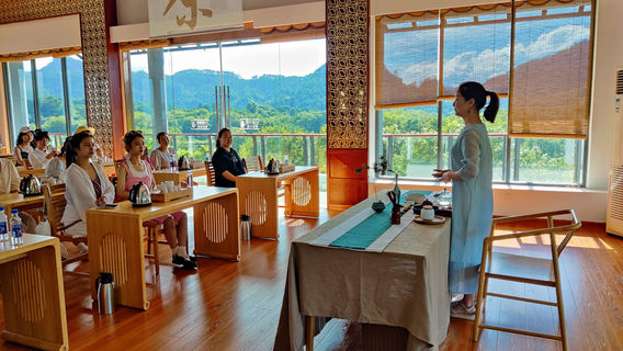 wu yi cha yan xi she