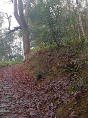 Yicheng Ancient Path