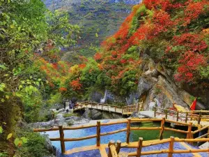 Tianzhu Mountain Forest Park