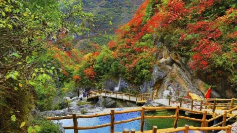 Tianzhu Mountain Forest Park attraction in Xiamen