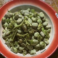 老广元农家小菜 User Photo