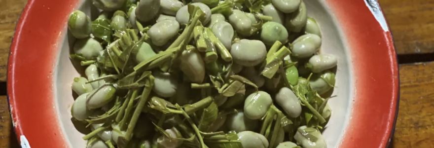 老广元农家小菜