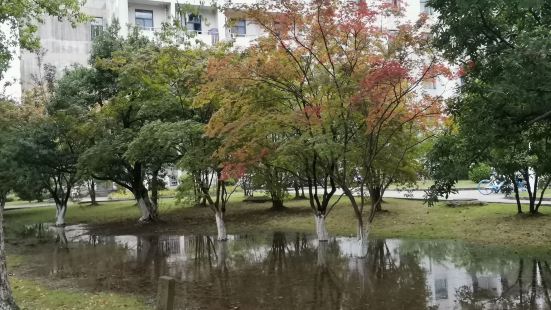公园，每次经过，看看周边的景色就觉得深圳是一个充满活力的城市