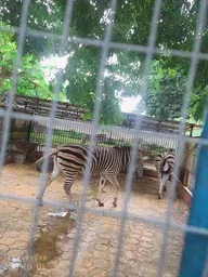 湛江动物园包含在位于湛江市赤坎区的寸金桥公园内，名字叫做寸金