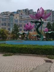Xiangyang Lotus Square—Chinese Rose Amusement Park