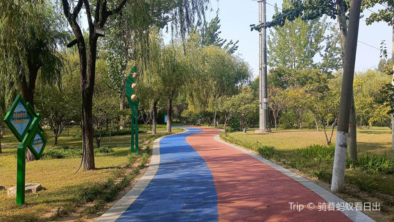 Luanzhou Botanical Garden